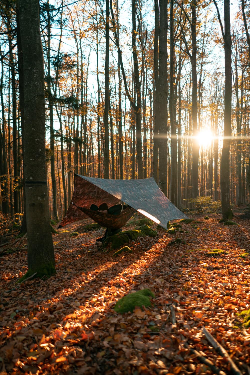 amazonas-moskito-traveller-forest-ultra-light-h-ngematte-275-x-140-cm-mit-moskit image 5