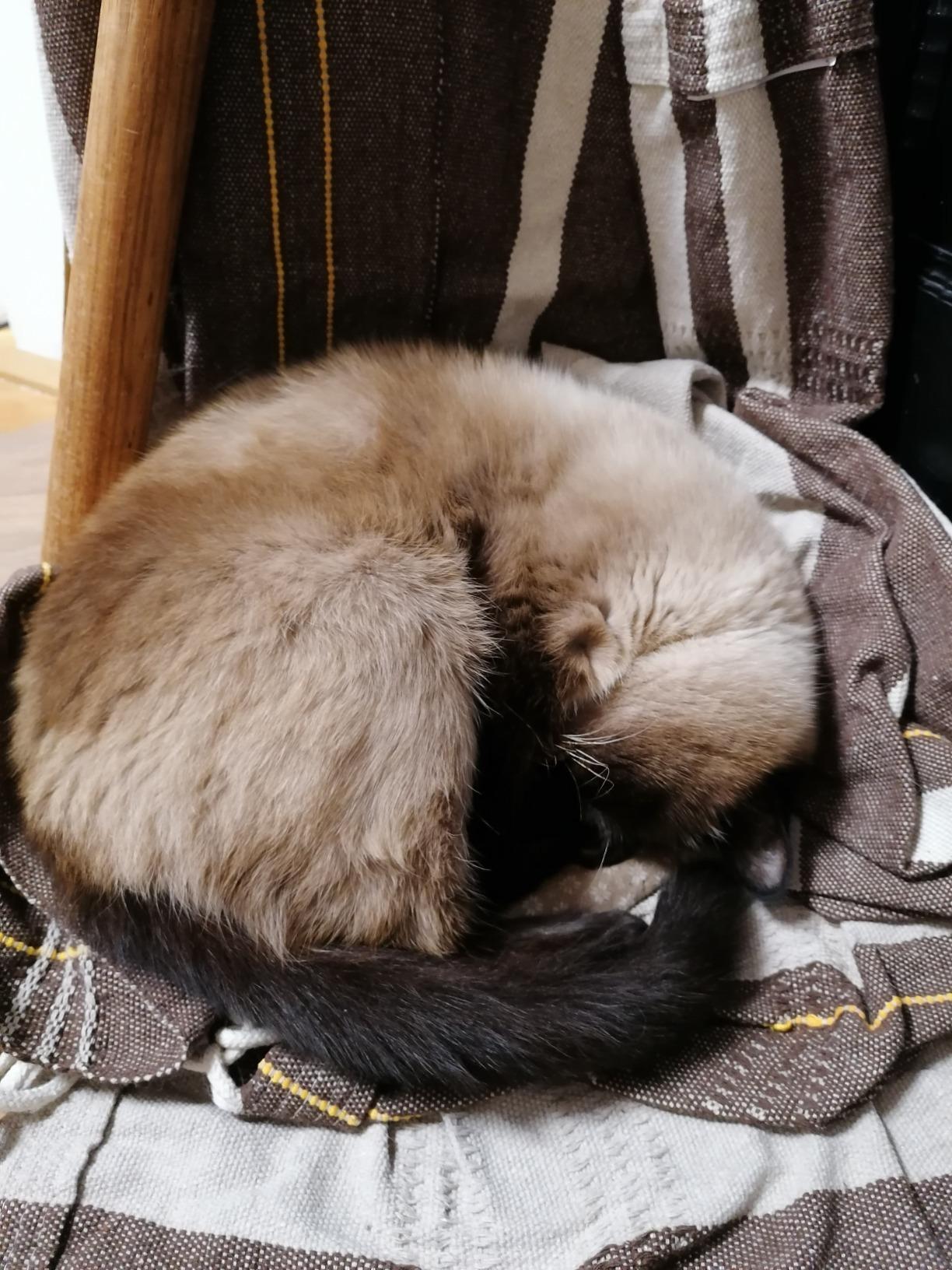 Riesig und bequem